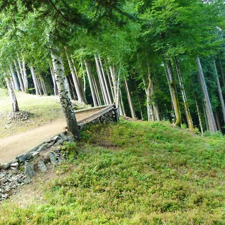 Chalet Route Du Panoramic * Araches-la-Frasse