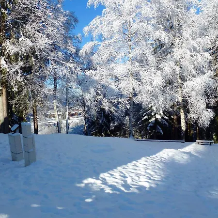 Chalet Route Du Panoramic * Araches-la-Frasse